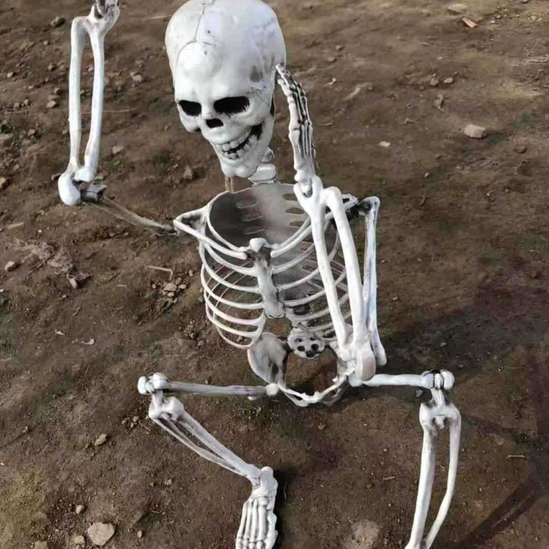 Helovīna telpas noformējuma rekvizīts – plastmasa, zīmols War horse, kategorija galvas skelets