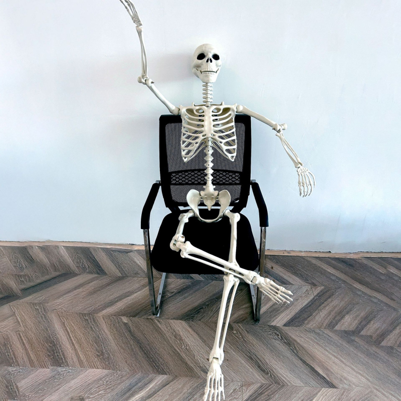 Helovīna telpas noformējuma rekvizīts – plastmasa, zīmols War horse, kategorija galvas skelets