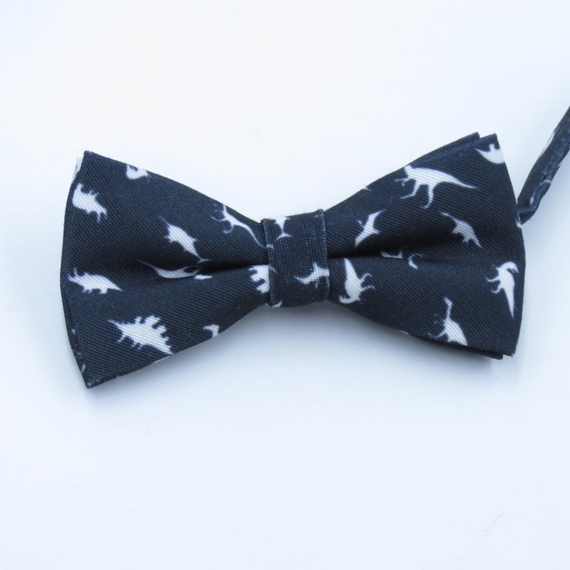 Ανδρικό σετ κορεατικού στυλ: λεπτή γραβάτα και παπιγιόν με μαντήλι τσέπης, μοτίβο δεινοσαύρου; Υλικό: πολυεστέρας νήματα; Στυλ: μοντέρνο, τύπος βέλους; Διαδικασία: εκτύπωση; Μοτίβο: καρτούν