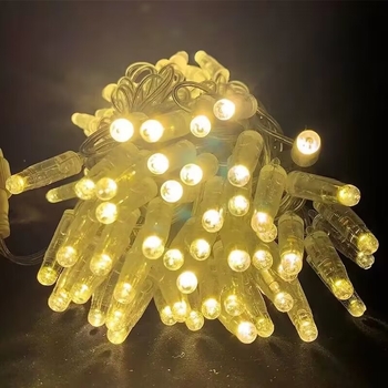 Lauko IP67 atsparios girliandos šviesos su nuotolinio valdymo, 0,06W, 220V DC, modelis FYTY, tinkama kempingui/šventėms kiemui