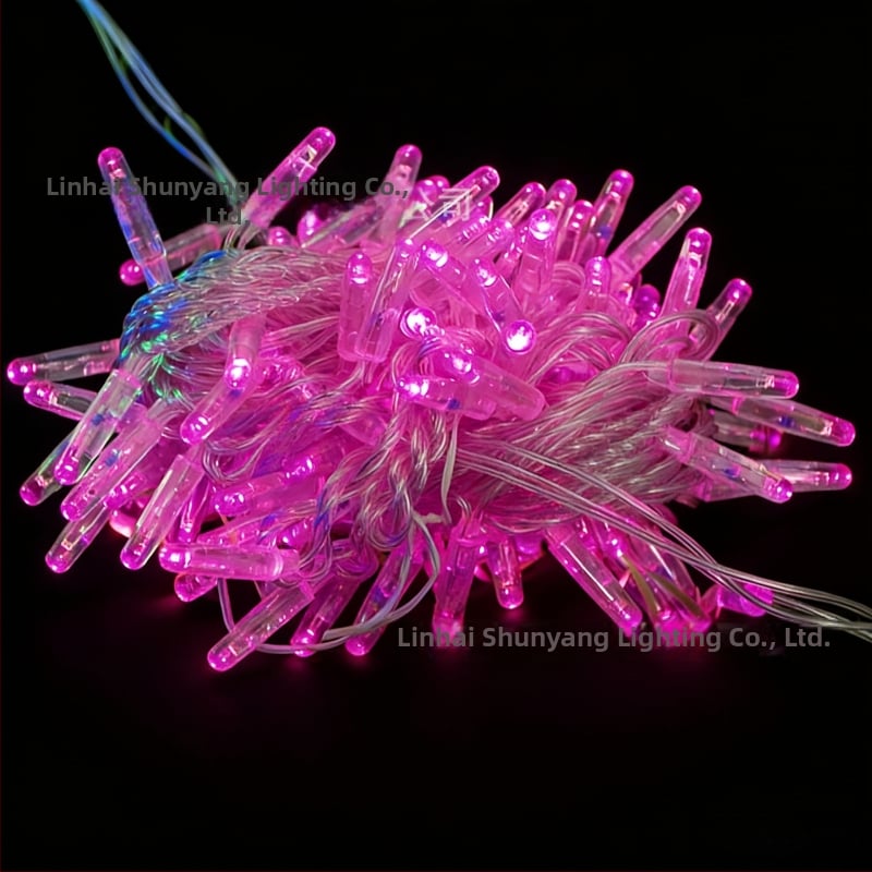 Lauko IP67 atsparios girliandos šviesos su nuotolinio valdymo, 0,06W, 220V DC, modelis FYTY, tinkama kempingui/šventėms kiemui