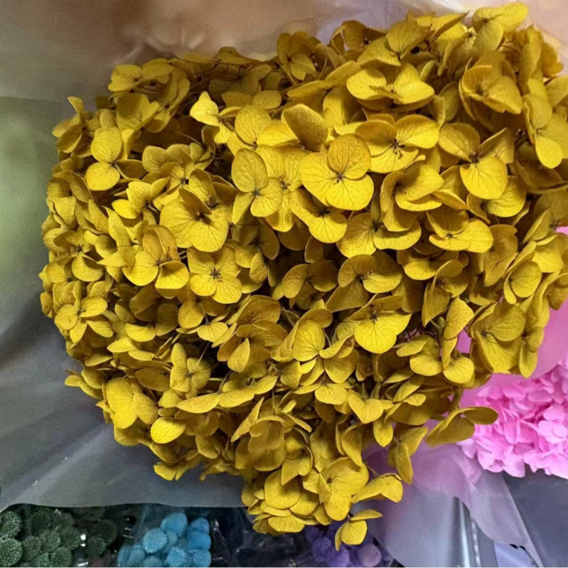 Anna hortenzija — sačuvano cvijeće, ručno izrađene dekoracije za dom i vjenčanja; Marka: Everlasting Anna Hydrangea; Materijal: sačuvano cvijeće; Sorte: Anna