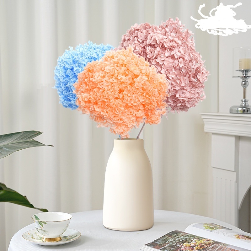 Anna hortenzija — sačuvano cvijeće, ručno izrađene dekoracije za dom i vjenčanja; Marka: Everlasting Anna Hydrangea; Materijal: sačuvano cvijeće; Sorte: Anna