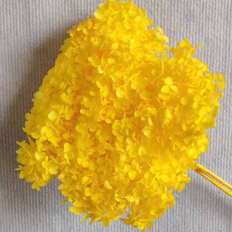 Anna hortenzija — sačuvano cvijeće, ručno izrađene dekoracije za dom i vjenčanja; Marka: Everlasting Anna Hydrangea; Materijal: sačuvano cvijeće; Sorte: Anna