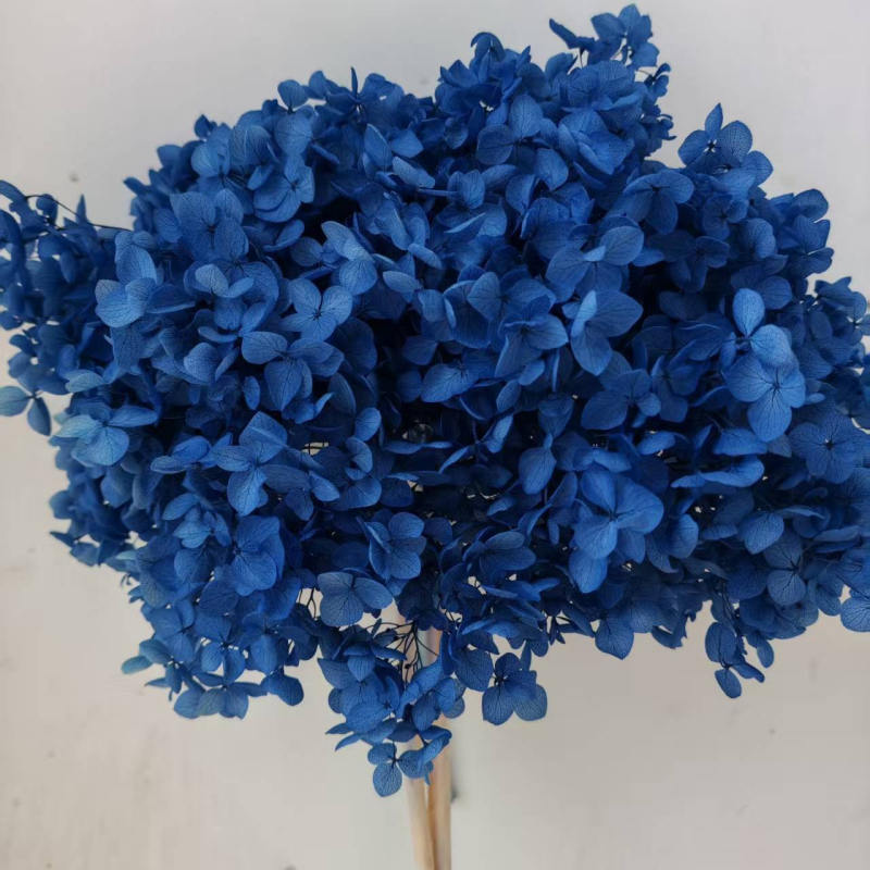 Anna hortenzija — sačuvano cvijeće, ručno izrađene dekoracije za dom i vjenčanja; Marka: Everlasting Anna Hydrangea; Materijal: sačuvano cvijeće; Sorte: Anna