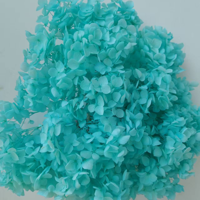 Anna hortenzija — sačuvano cvijeće, ručno izrađene dekoracije za dom i vjenčanja; Marka: Everlasting Anna Hydrangea; Materijal: sačuvano cvijeće; Sorte: Anna