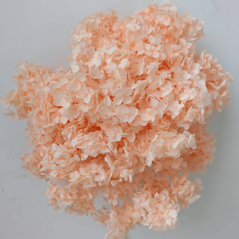 Anna hortenzija — sačuvano cvijeće, ručno izrađene dekoracije za dom i vjenčanja; Marka: Everlasting Anna Hydrangea; Materijal: sačuvano cvijeće; Sorte: Anna