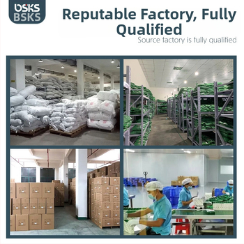 Liekninimo diržas su infraraudonąja fizioterapija ir karštu kompresu, maitinamas nuolatinės srovės (AC) šaltiniu, temperatūra 30–70°C