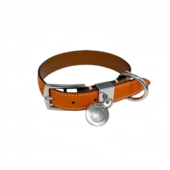 Mājdzīvnieku kaklasaite (sunim un kaķim) – āda, ādas tekstūra, INS stils, universāla lietošana