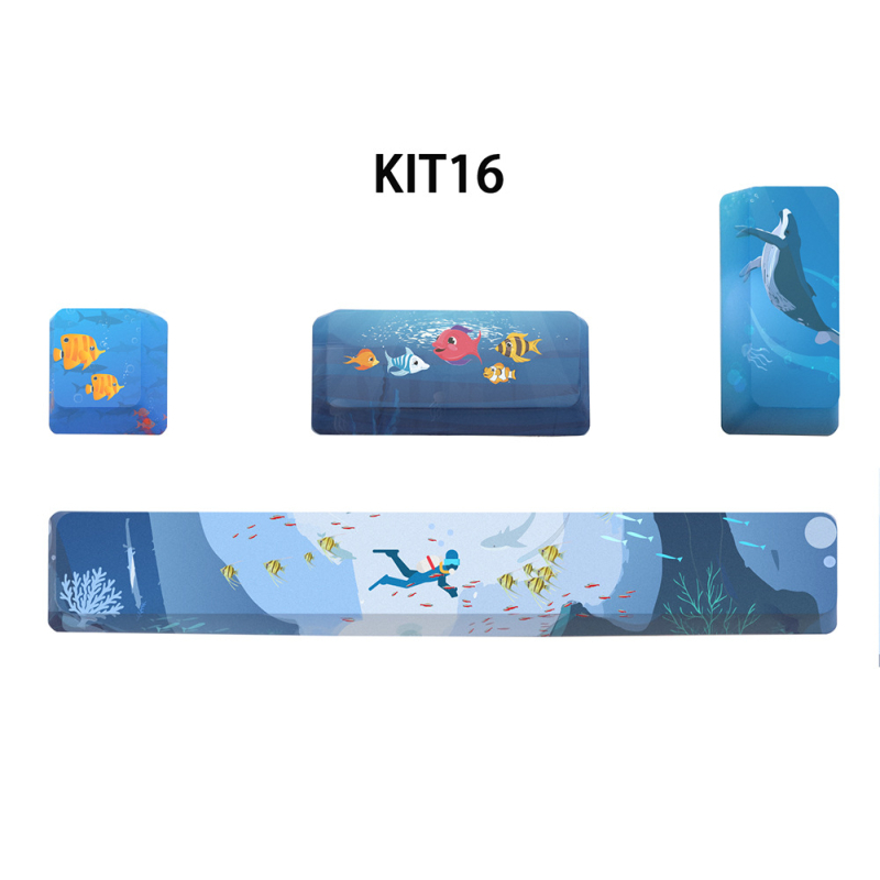 PBT klahvikatted mehaanilisele klaviatuurile, viiepoolne sublimatsioon, 4 klahvi: 6.25U tühik, ESC, Enter ja parem Enter