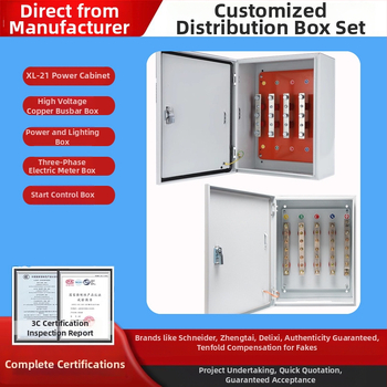 Izoliuota T-jungties dėžė kabeliams su vario šina, sieninis montavimas, IP40, korpusas iš šaltai valcuoto plieno plokštės, pagal užsakymą