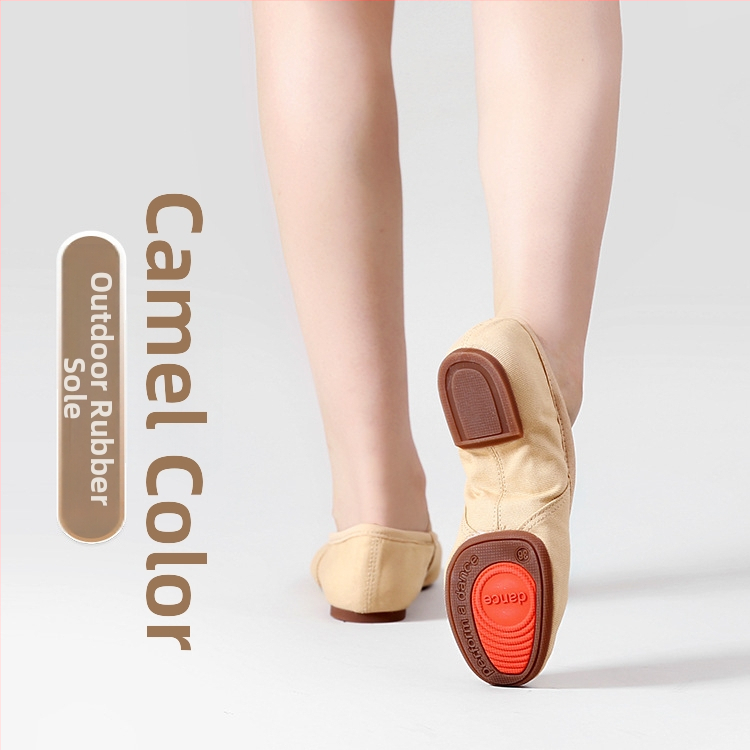 Pantofi de dans pentru femei adulte, fără șireturi, talpă moale, partea superioară din pânză, talpă din cauciuc, respirabili.