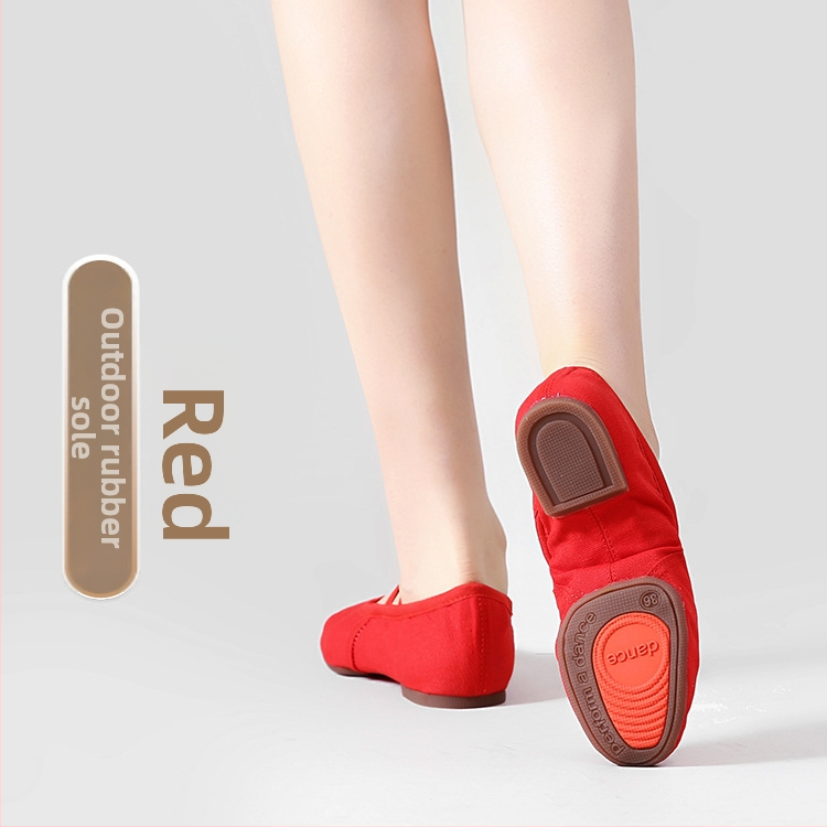 Pantofi de dans pentru femei adulte, fără șireturi, talpă moale, partea superioară din pânză, talpă din cauciuc, respirabili.