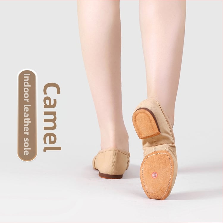 Pantofi de dans pentru femei adulte, fără șireturi, talpă moale, partea superioară din pânză, talpă din cauciuc, respirabili.