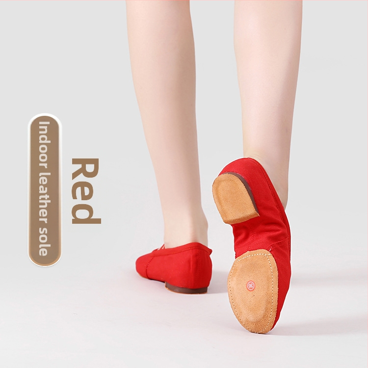 Pantofi de dans pentru femei adulte, fără șireturi, talpă moale, partea superioară din pânză, talpă din cauciuc, respirabili.