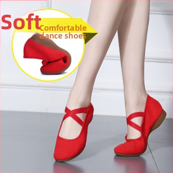 Pantofi de dans pentru square dance, femei – talpă moale, vamp din pânză, antiderapant, toate sezoanele, pentru adulți