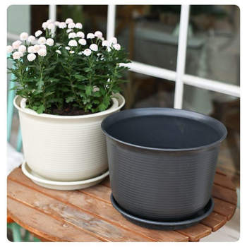 Šaknų kontrolei skirtas gėlių vazonas, kvėpuojanti keramika, pastatomas ant grindų, paprastas stilius