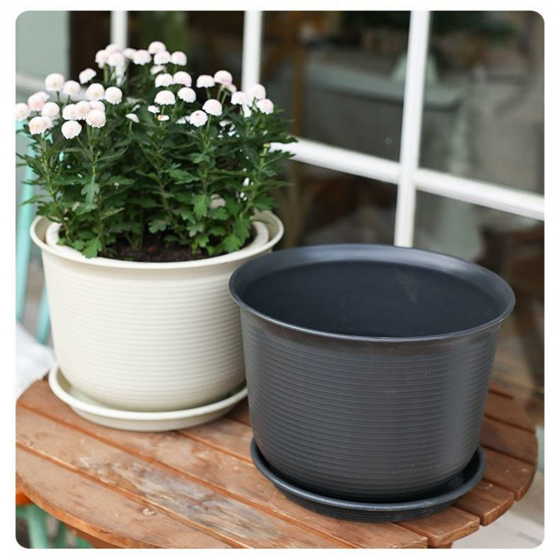 Šaknų kontrolei skirtas gėlių vazonas, kvėpuojanti keramika, pastatomas ant grindų, paprastas stilius