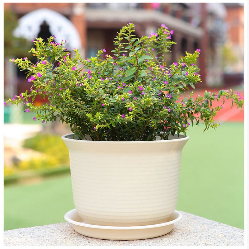 Šaknų kontrolei skirtas gėlių vazonas, kvėpuojanti keramika, pastatomas ant grindų, paprastas stilius