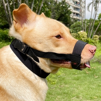 Suņa mute aizsargs, novēršot kodienu un riešanu, īss mutes dizains, mājdzīvnieku maska, materiāls: zīda zieds