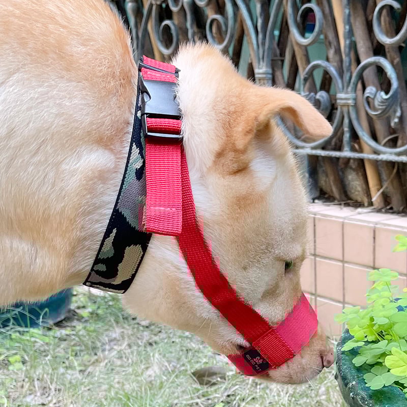 Suņa mute aizsargs, novēršot kodienu un riešanu, īss mutes dizains, mājdzīvnieku maska, materiāls: zīda zieds