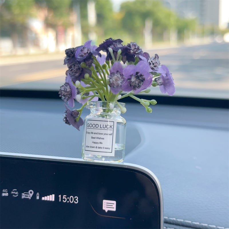 Automašīnas iekšējā rotājums īslaicīgai stāvvietai — mīļš karikatūru aromaterapijas dizains, plastmasa, nav pielāgojams, Handsome zīmols, tips: Cits