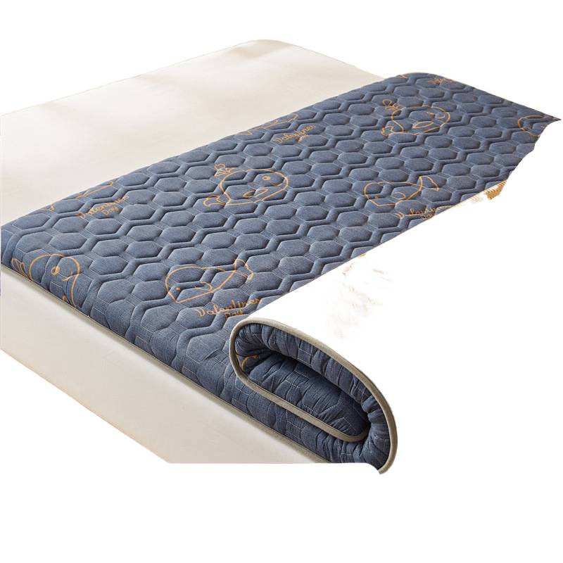 Kahekülgne pehme voodimatt, Jacquard-kude, Ice Silk Mat, Keemilised kiud, Modernne minimalistlik stiil