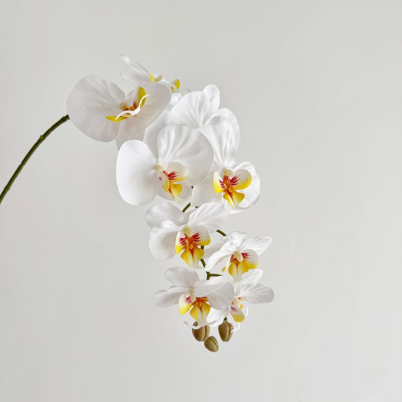 Phalaenopsis dirbtinė orchidėja, vienos šakos kompozicija, poliesterio audinys, 3D spausdinimas, namų dekoras
