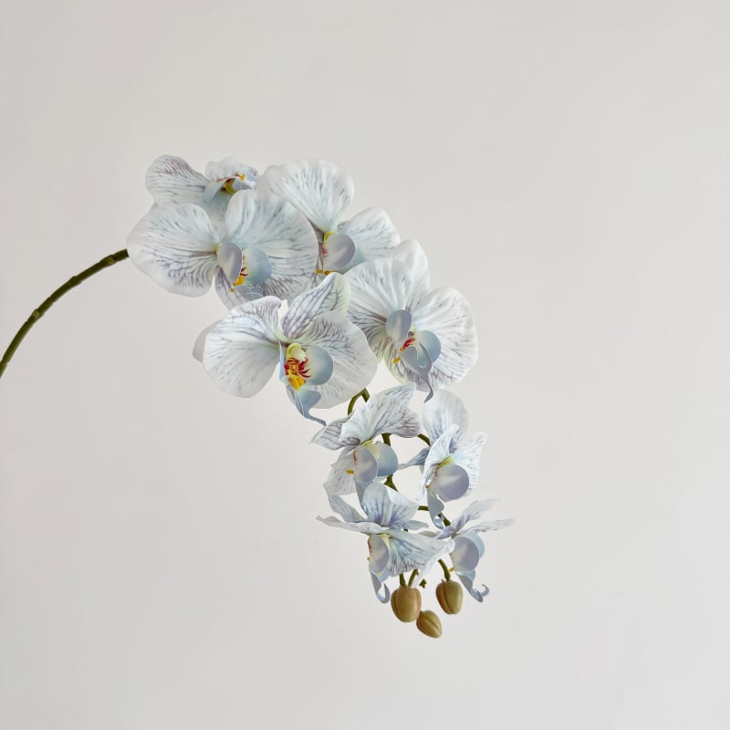 Phalaenopsis dirbtinė orchidėja, vienos šakos kompozicija, poliesterio audinys, 3D spausdinimas, namų dekoras