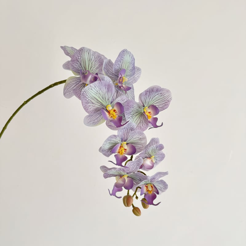Phalaenopsis dirbtinė orchidėja, vienos šakos kompozicija, poliesterio audinys, 3D spausdinimas, namų dekoras