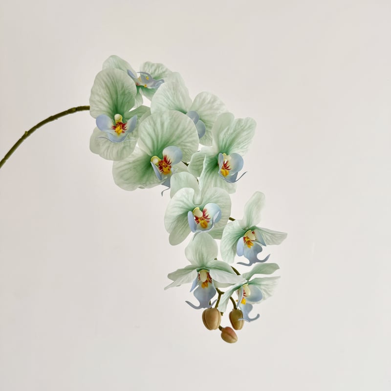 Phalaenopsis dirbtinė orchidėja, vienos šakos kompozicija, poliesterio audinys, 3D spausdinimas, namų dekoras