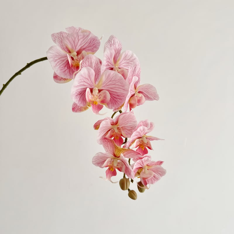 Phalaenopsis dirbtinė orchidėja, vienos šakos kompozicija, poliesterio audinys, 3D spausdinimas, namų dekoras
