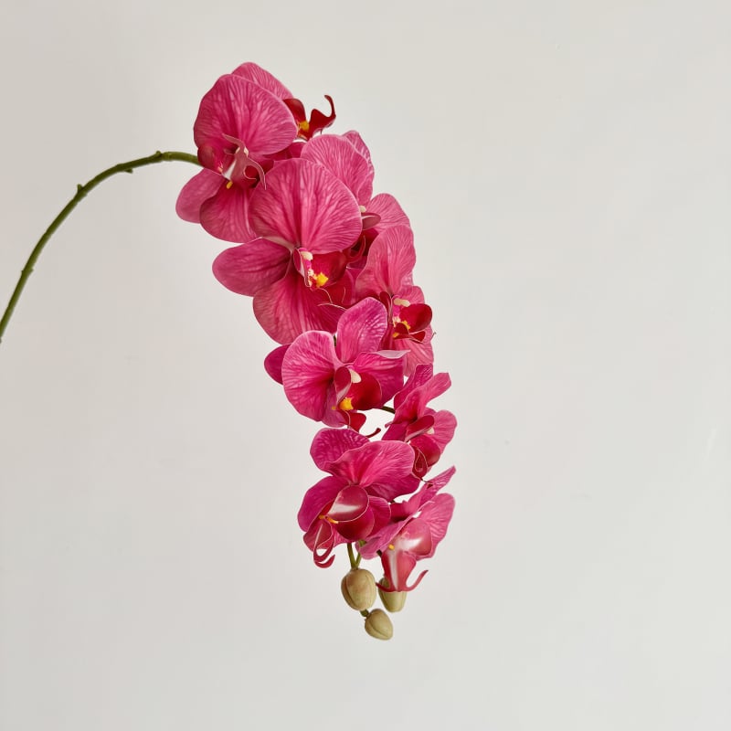 Phalaenopsis dirbtinė orchidėja, vienos šakos kompozicija, poliesterio audinys, 3D spausdinimas, namų dekoras