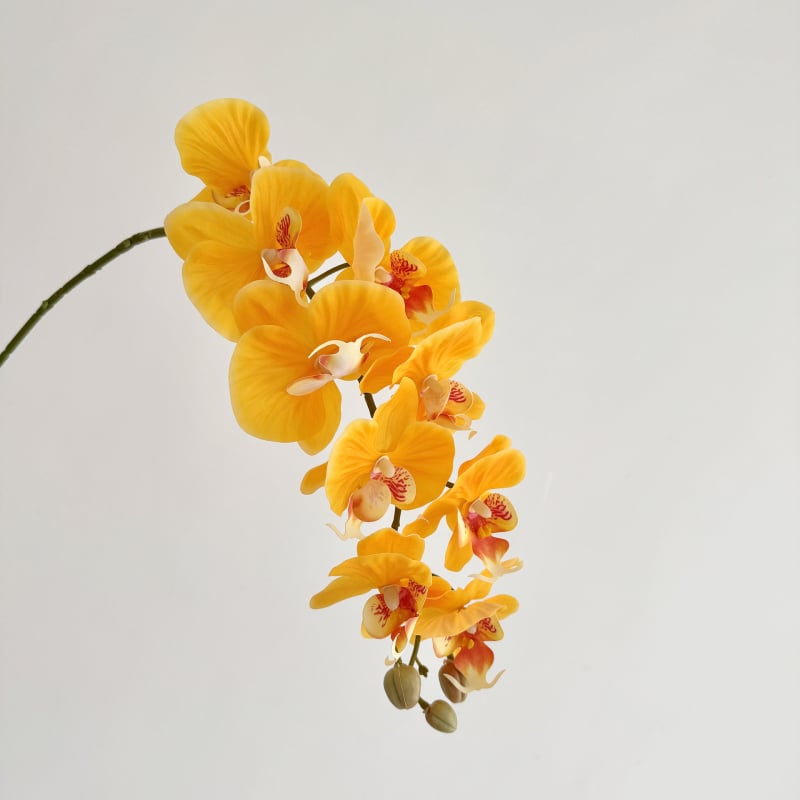 Phalaenopsis dirbtinė orchidėja, vienos šakos kompozicija, poliesterio audinys, 3D spausdinimas, namų dekoras