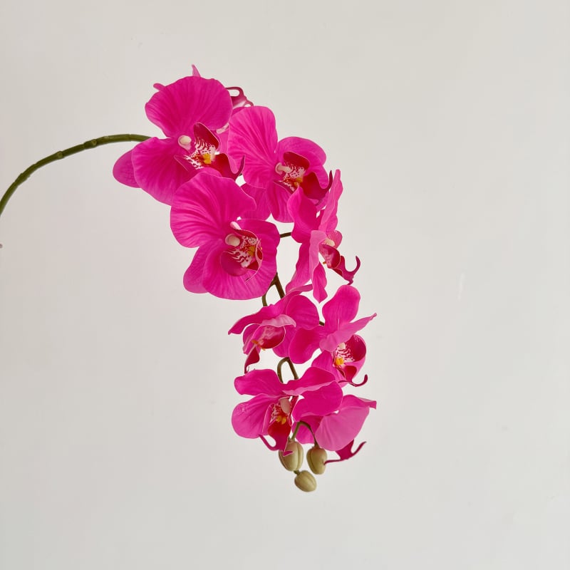 Phalaenopsis dirbtinė orchidėja, vienos šakos kompozicija, poliesterio audinys, 3D spausdinimas, namų dekoras
