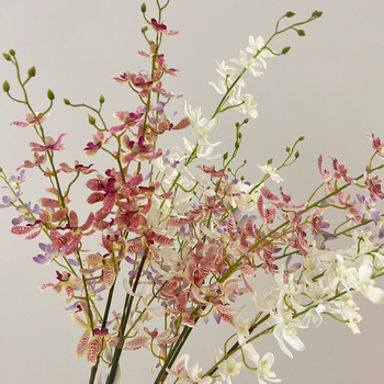 Tehislik Phalaenopsis orhidee pajukäedega – elutoa ja teleri kappide dekoratsioon (Materjal: siidlilled; Toote kuju: üks oks; Tüüp: orhidee; Rakendused: kodu dekoratsioon, hotellide dekoratsioon, restoranide dekoratsioon, fotorekviziidid)