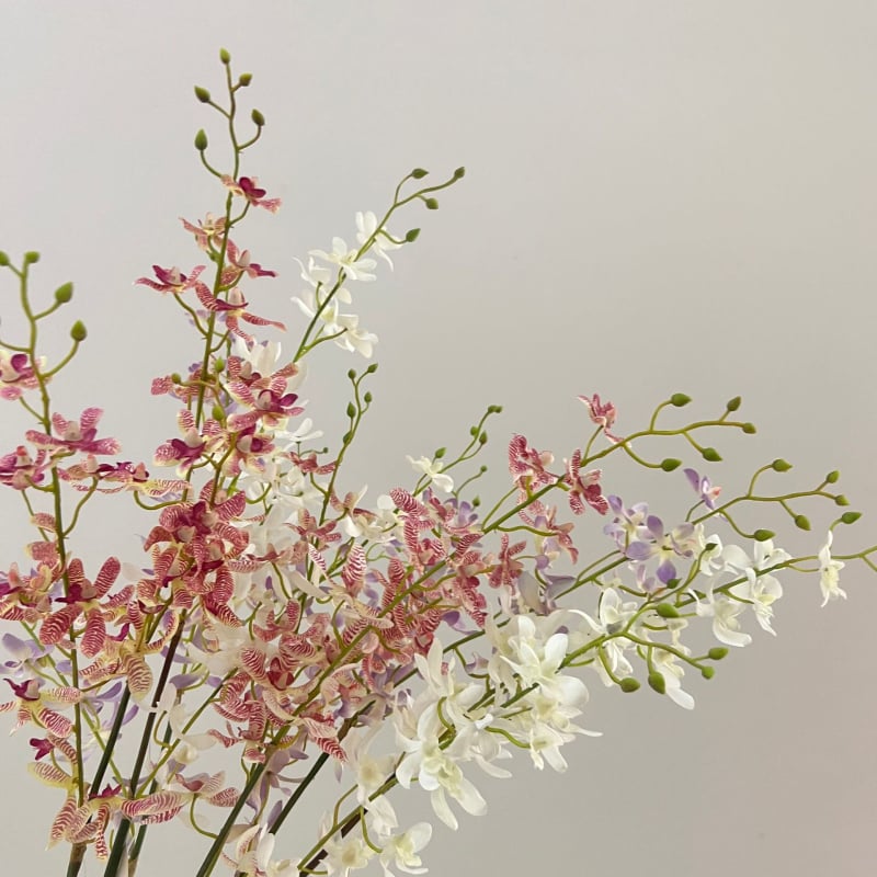 Tehislik Phalaenopsis orhidee pajukäedega – elutoa ja teleri kappide dekoratsioon (Materjal: siidlilled; Toote kuju: üks oks; Tüüp: orhidee; Rakendused: kodu dekoratsioon, hotellide dekoratsioon, restoranide dekoratsioon, fotorekviziidid)