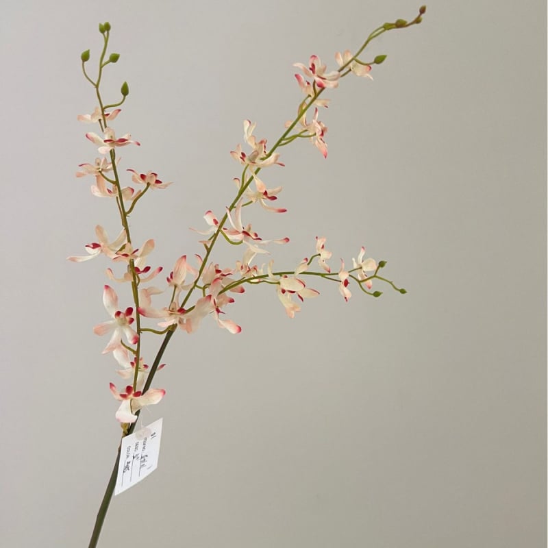 Tehislik Phalaenopsis orhidee pajukäedega – elutoa ja teleri kappide dekoratsioon (Materjal: siidlilled; Toote kuju: üks oks; Tüüp: orhidee; Rakendused: kodu dekoratsioon, hotellide dekoratsioon, restoranide dekoratsioon, fotorekviziidid)