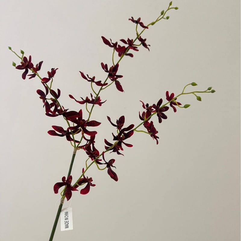 Tehislik Phalaenopsis orhidee pajukäedega – elutoa ja teleri kappide dekoratsioon (Materjal: siidlilled; Toote kuju: üks oks; Tüüp: orhidee; Rakendused: kodu dekoratsioon, hotellide dekoratsioon, restoranide dekoratsioon, fotorekviziidid)