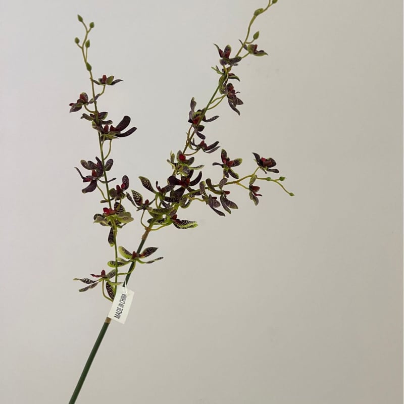 Tehislik Phalaenopsis orhidee pajukäedega – elutoa ja teleri kappide dekoratsioon (Materjal: siidlilled; Toote kuju: üks oks; Tüüp: orhidee; Rakendused: kodu dekoratsioon, hotellide dekoratsioon, restoranide dekoratsioon, fotorekviziidid)