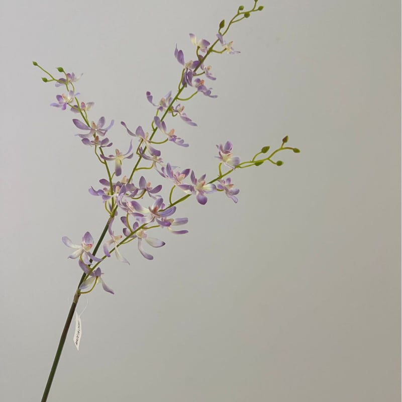 Tehislik Phalaenopsis orhidee pajukäedega – elutoa ja teleri kappide dekoratsioon (Materjal: siidlilled; Toote kuju: üks oks; Tüüp: orhidee; Rakendused: kodu dekoratsioon, hotellide dekoratsioon, restoranide dekoratsioon, fotorekviziidid)