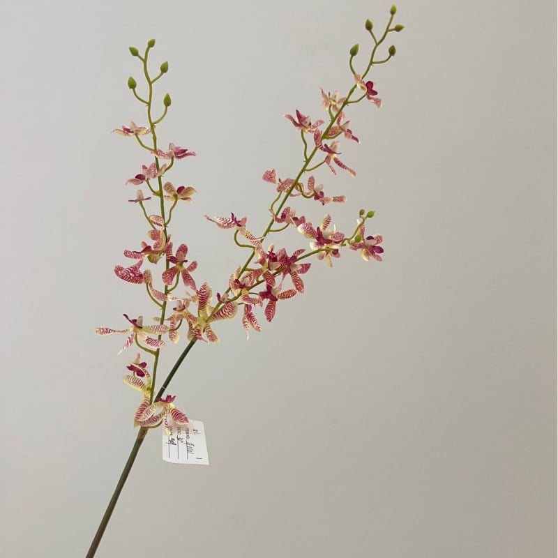 Tehislik Phalaenopsis orhidee pajukäedega – elutoa ja teleri kappide dekoratsioon (Materjal: siidlilled; Toote kuju: üks oks; Tüüp: orhidee; Rakendused: kodu dekoratsioon, hotellide dekoratsioon, restoranide dekoratsioon, fotorekviziidid)