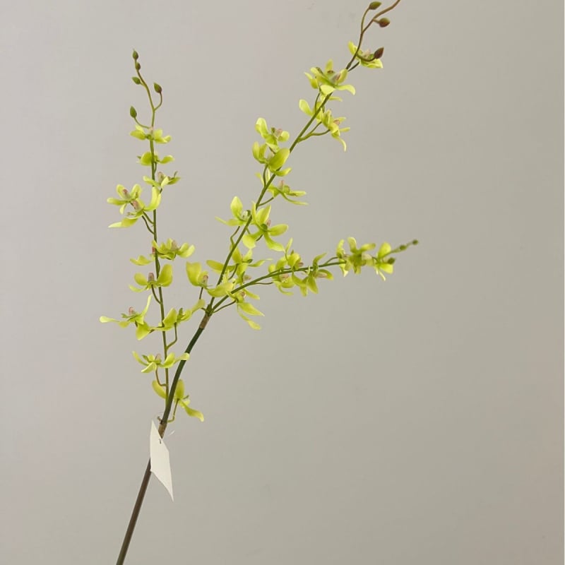 Tehislik Phalaenopsis orhidee pajukäedega – elutoa ja teleri kappide dekoratsioon (Materjal: siidlilled; Toote kuju: üks oks; Tüüp: orhidee; Rakendused: kodu dekoratsioon, hotellide dekoratsioon, restoranide dekoratsioon, fotorekviziidid)