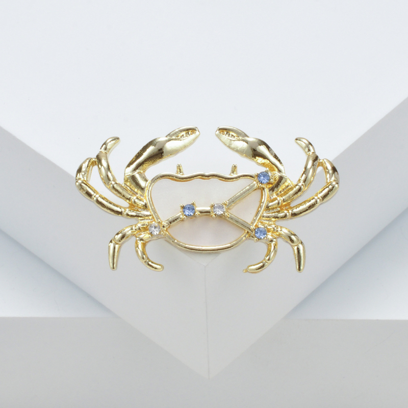 12 Zodiako ženklų serijos segtukas, lydinys, konstelacijos ir gyvūnų formos, elektroplakavimas, antiekspozicija