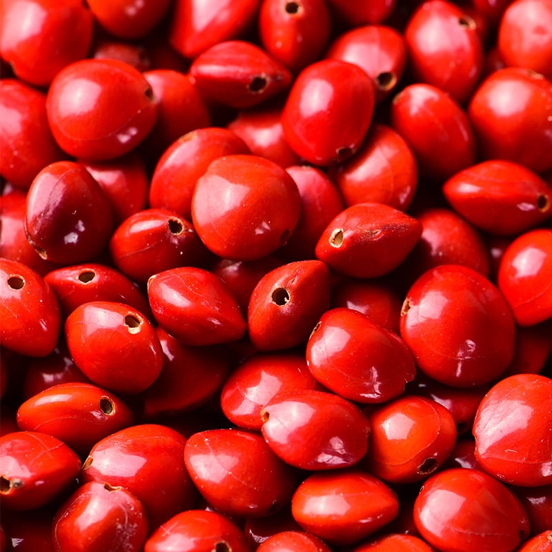 DIY ékszerekhez Bodhi magvak akácból — kézzel készített, lyukas gyöngyök karkötőkhez