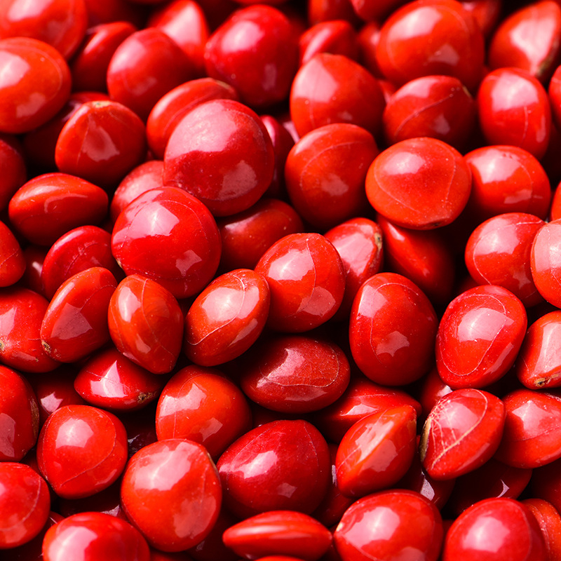 DIY ékszerekhez Bodhi magvak akácból — kézzel készített, lyukas gyöngyök karkötőkhez