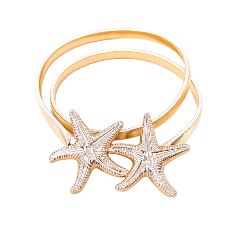 Metalinė juosta juosmeniui su lydinio sagtimi, kabliuko užsegimas, elektroplatinė danga