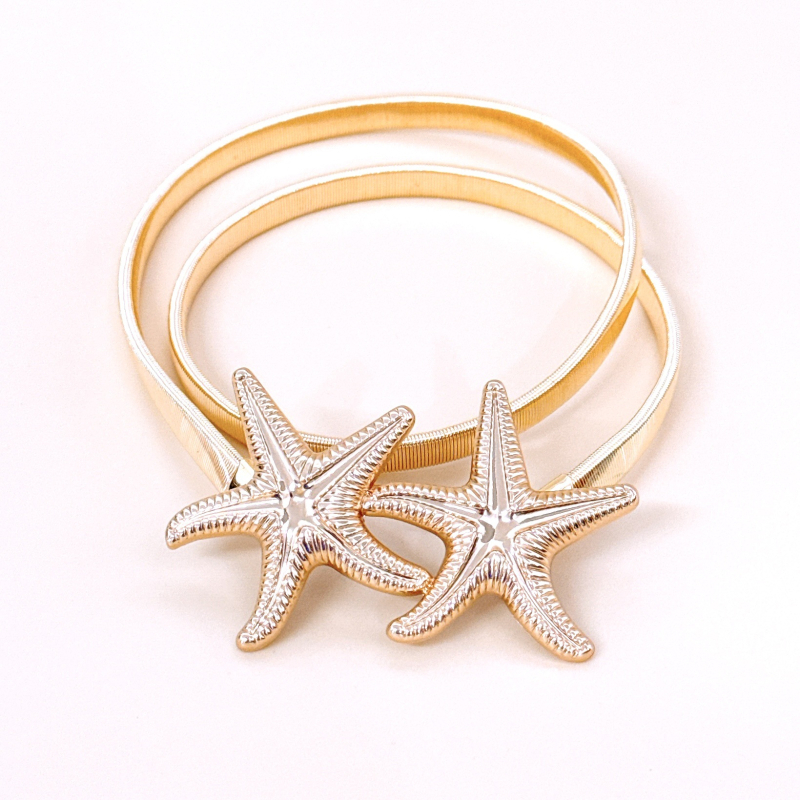 Metalinė juosta juosmeniui su lydinio sagtimi, kabliuko užsegimas, elektroplatinė danga