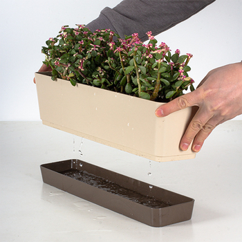 Plastikinis vazonas sukulentams, stovintis ant grindų, paprastas stilius, namų sodininkystei.