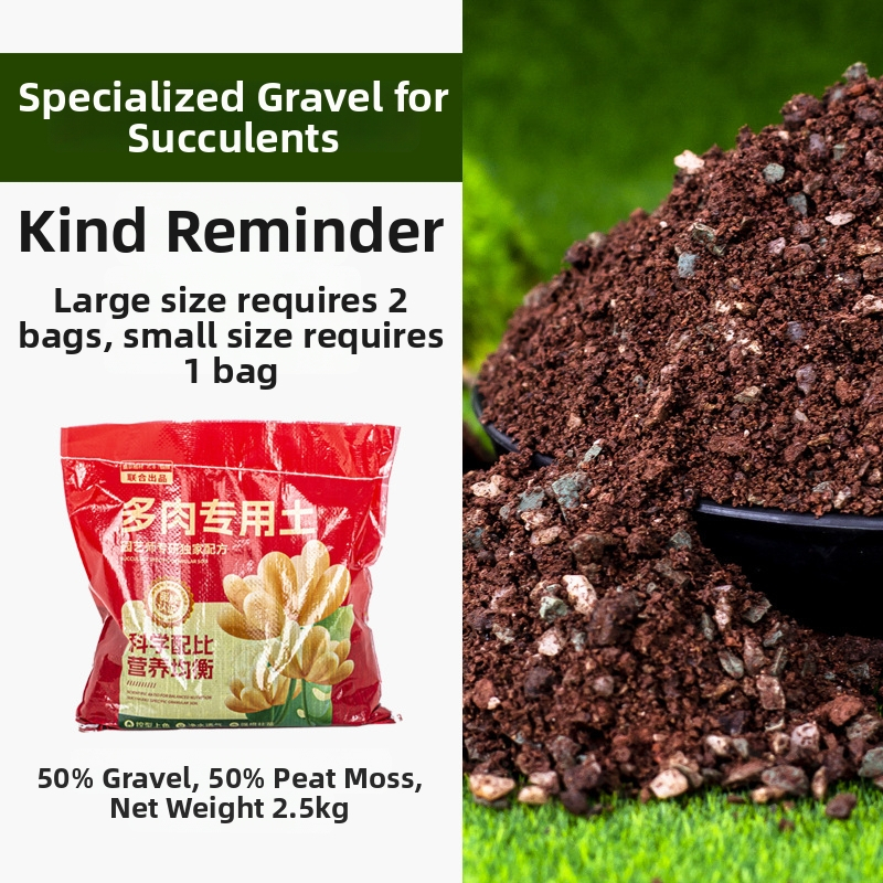 Plastikinis vazonas sukulentams, stovintis ant grindų, paprastas stilius, namų sodininkystei.